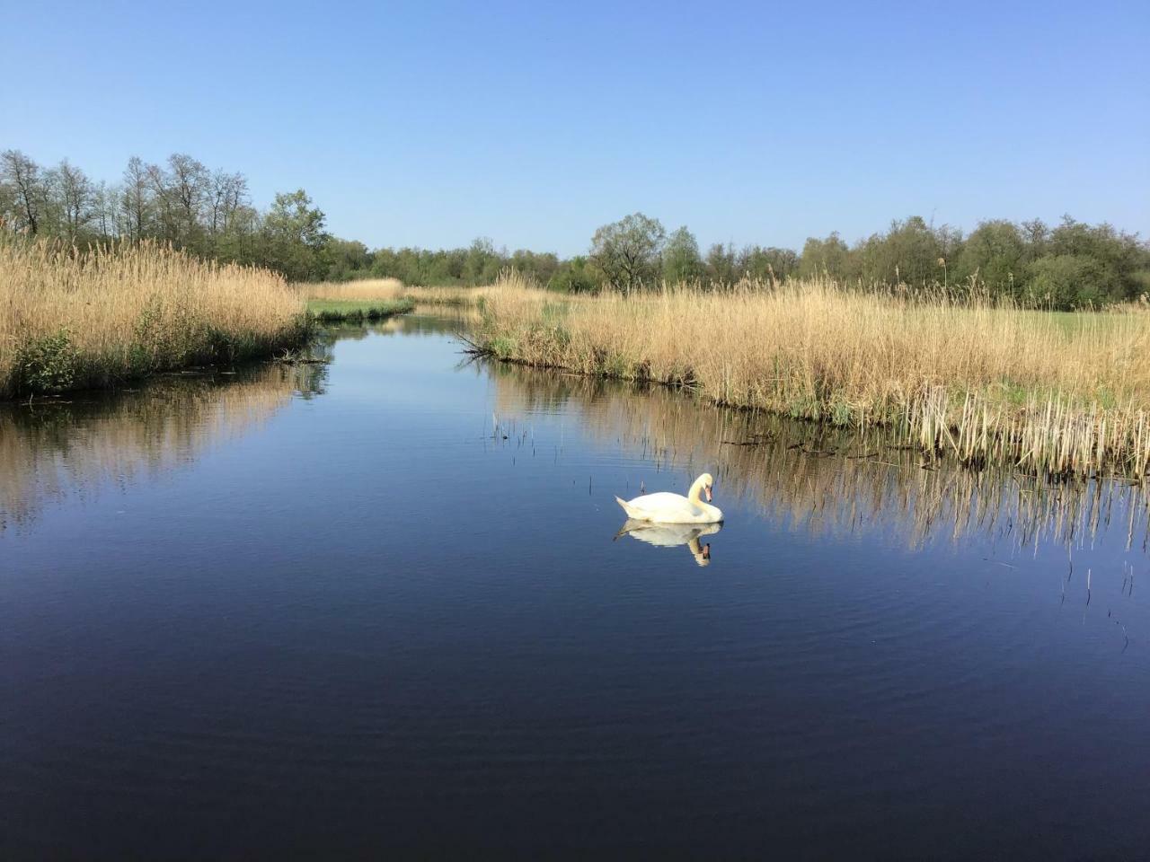 C'Est La Vie Villa Wanneperveen Buitenkant foto