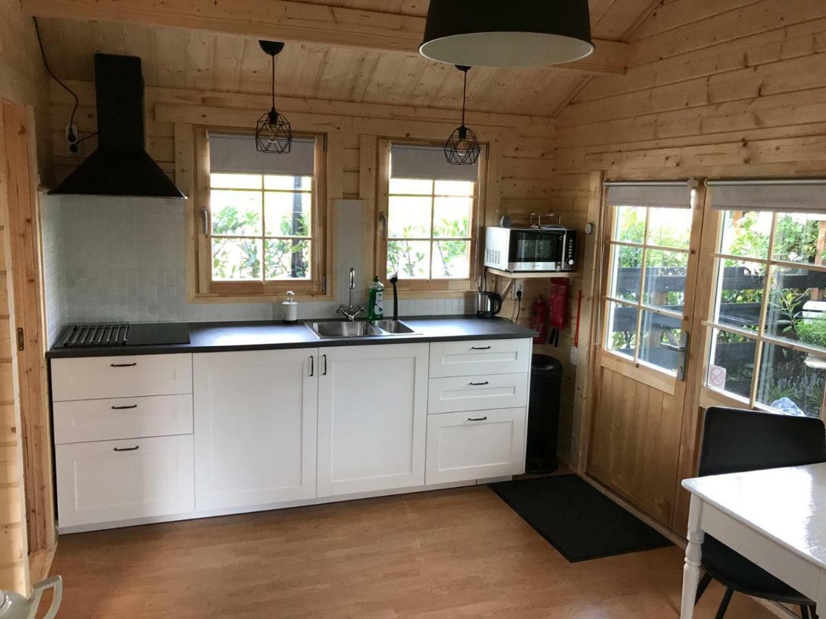 C'Est La Vie Villa Wanneperveen Buitenkant foto